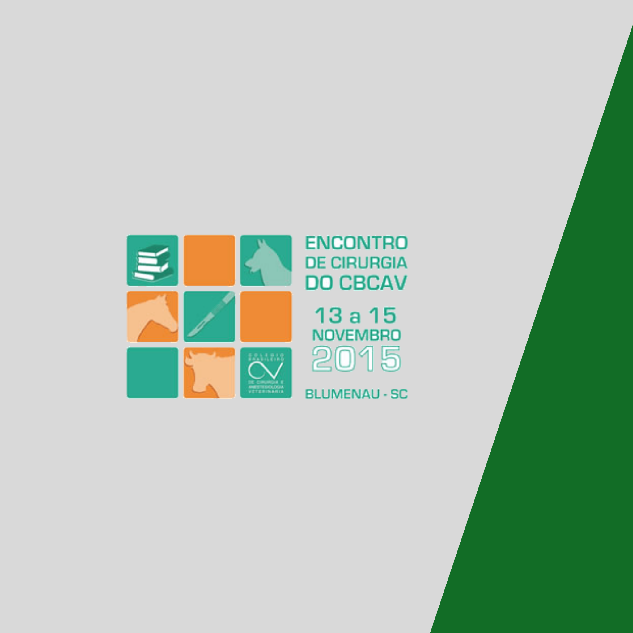 Encontro de Cirurgia do CBCAV