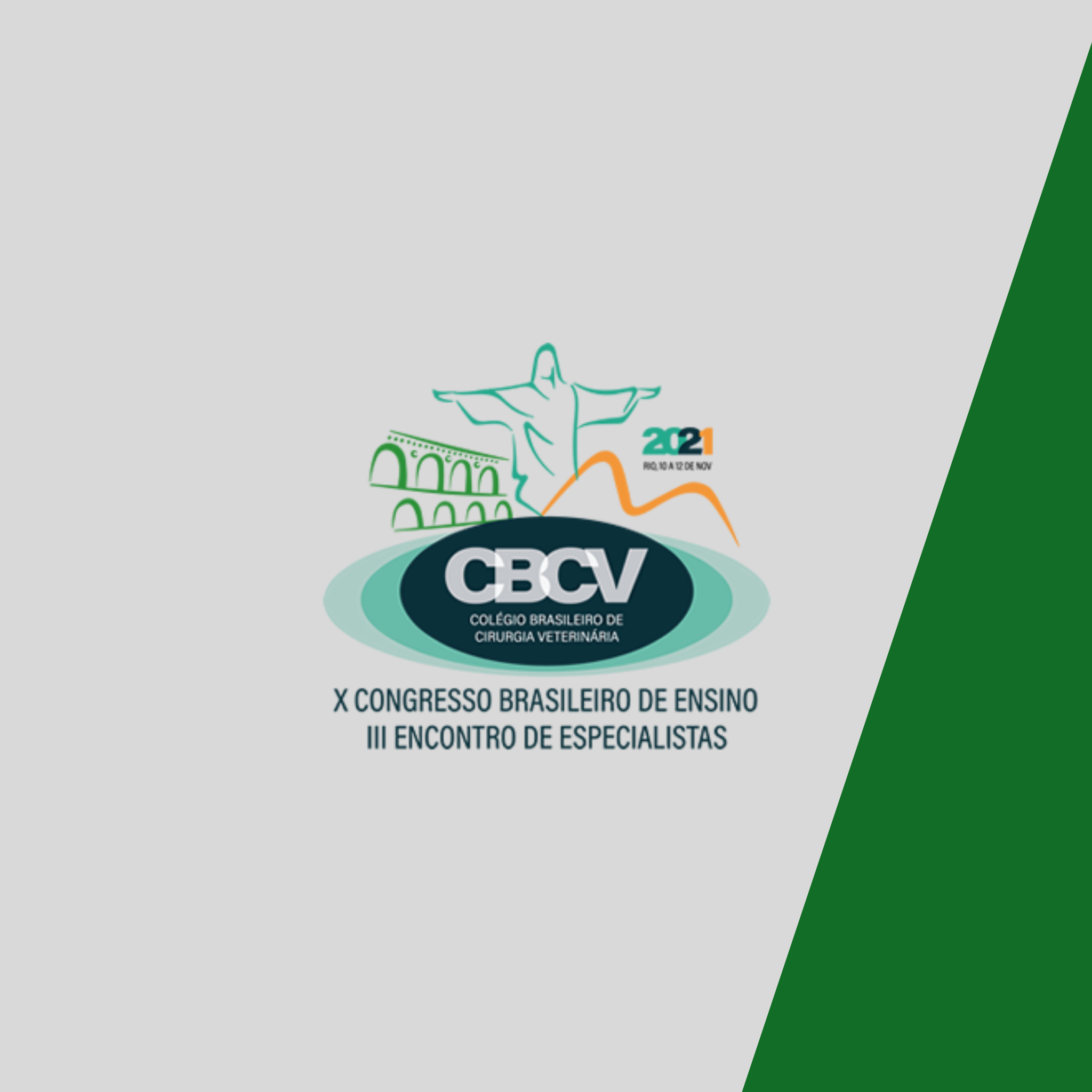 10º Congresso Brasileiro de Ensino e 3º Simpósio de Especialistas