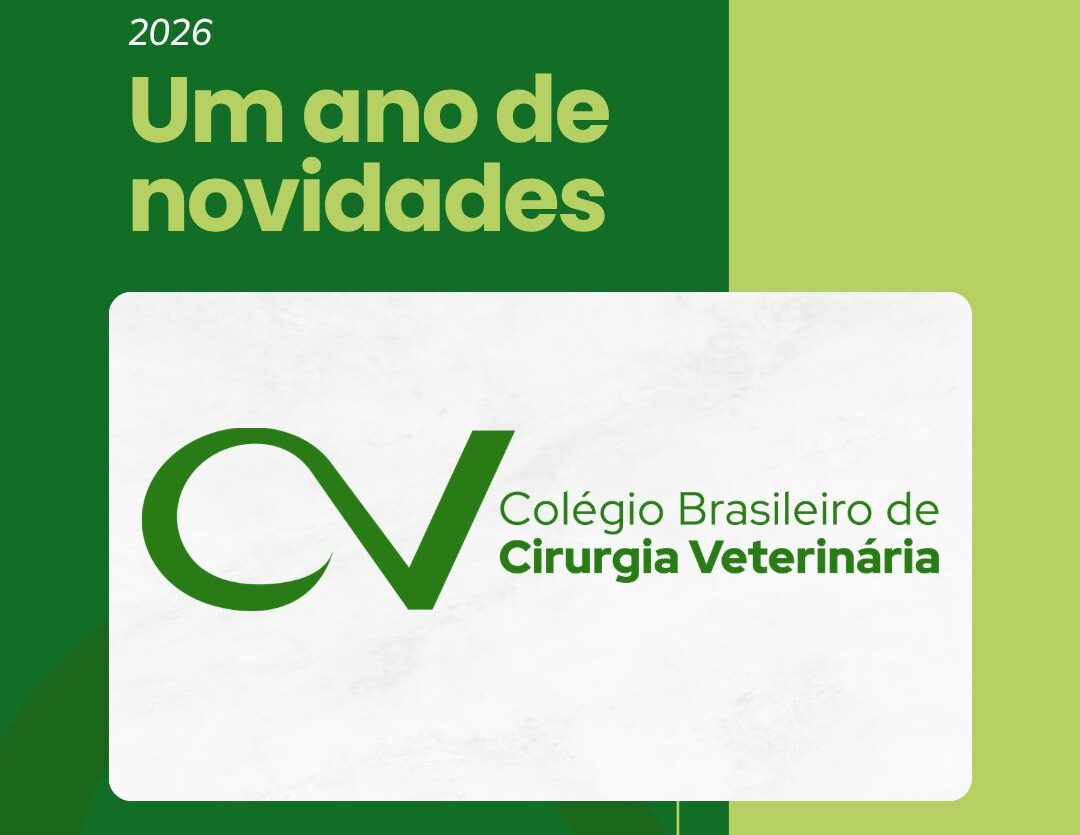 Um ano de novidades no CBCV