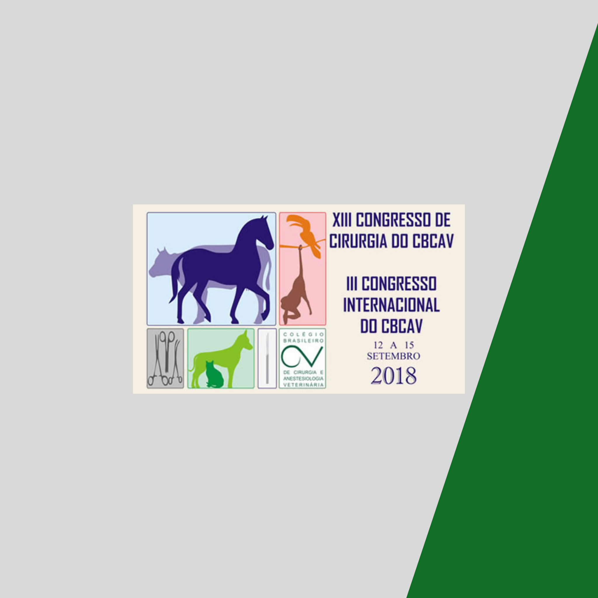 XIII Congresso de Cirurgia do CBCAV e III Congresso Internacional do CBCAV