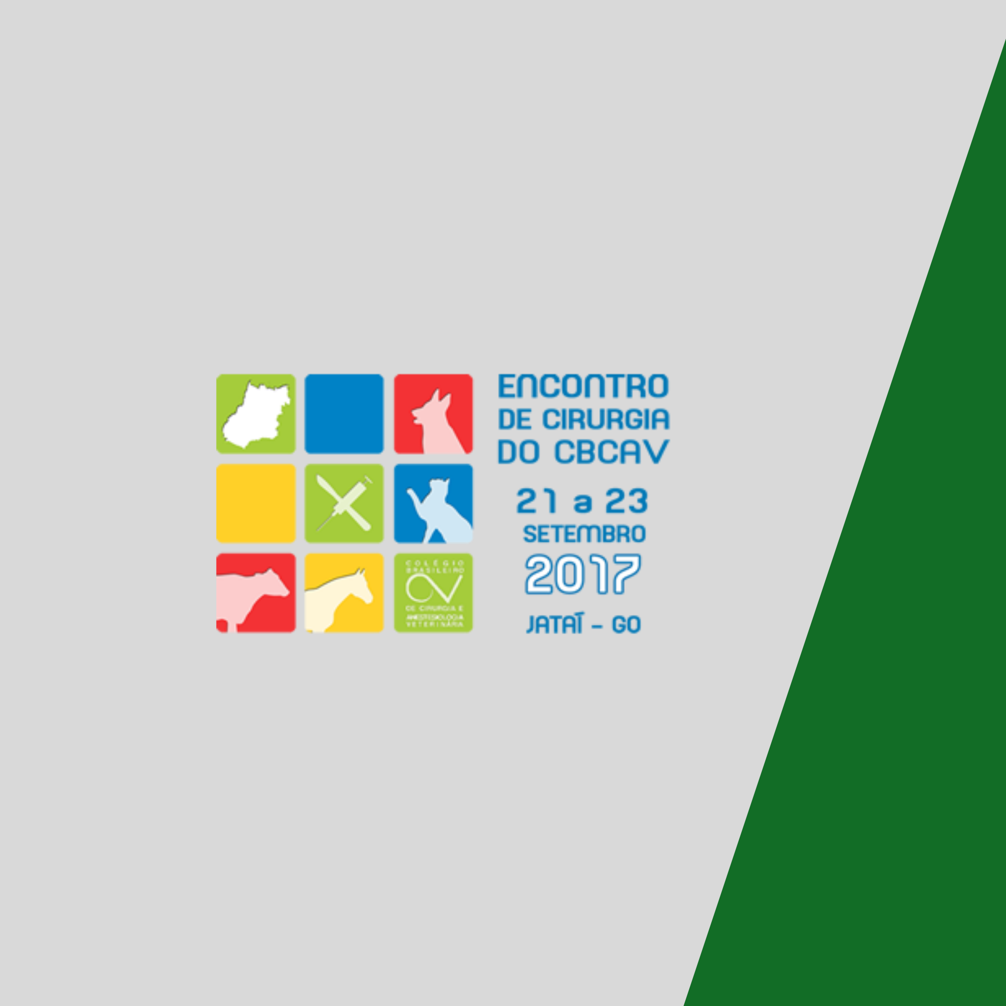 Encontro do CBCAV 2017